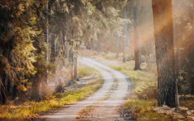 The Right Path to Freedom